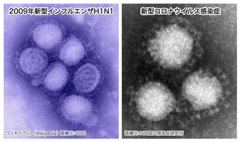 2009年の新型インフルエンザH1N1と新型コロナウイルス感染症の比較